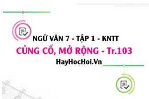 Soạn bài Củng cố, mở rộng trang 103 Ngữ văn lớp 7 Kết nối tri thức tập 1